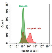 Annexin V-iFluor® 350 conjugate - AAT Bioquest