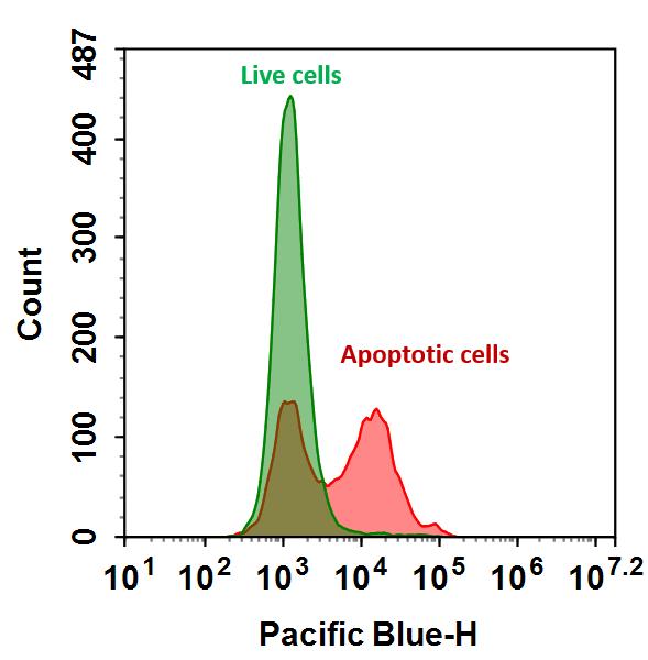 Annexin V-iFluor® 350 conjugate - AAT Bioquest
