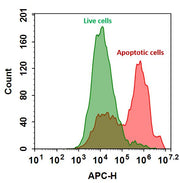 Annexin V-iFluor® 633 conjugate - AAT Bioquest