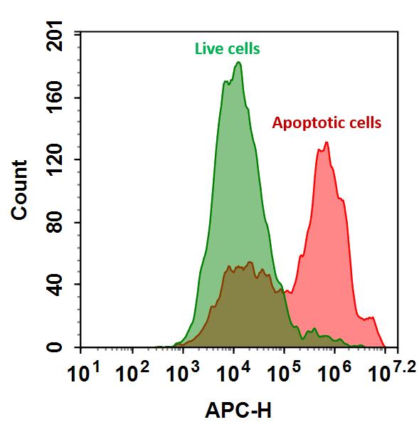 Annexin V-iFluor® 633 conjugate - AAT Bioquest