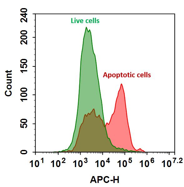 Annexin V-iFluor® 680 conjugate - AAT Bioquest