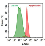 Annexin V-iFluor® 700 conjugate - AAT Bioquest