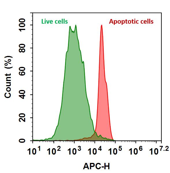 Annexin V-iFluor® 700 conjugate - AAT Bioquest