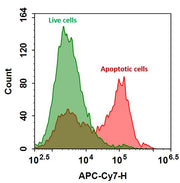 Annexin V-iFluor® 750 conjugate - AAT Bioquest