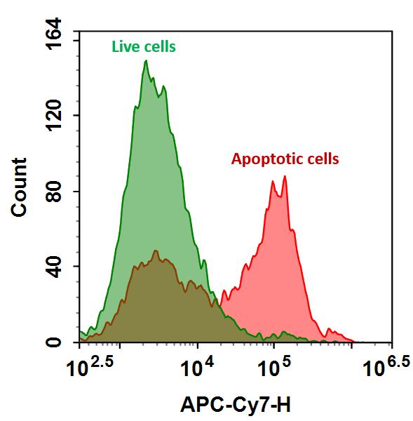 Annexin V-iFluor® 750 conjugate - AAT Bioquest