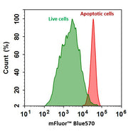 Annexin V-mFluor™ Blue 570 conjugate - AAT Bioquest