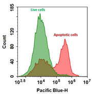 Annexin V-mFluor™ Violet 450 conjugate - AAT Bioquest