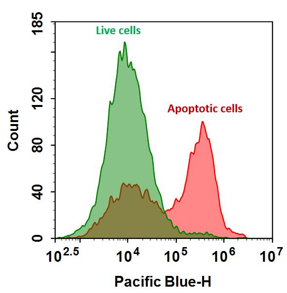 Annexin V-mFluor™ Violet 450 conjugate - AAT Bioquest