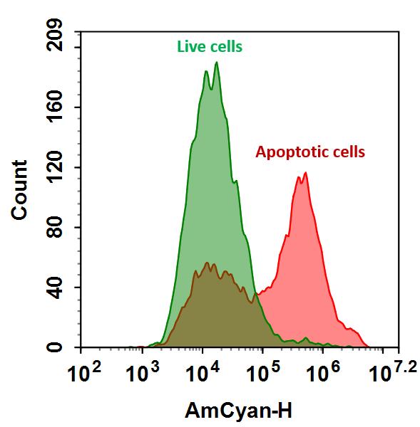 Annexin V-mFluor™ Violet 510 conjugate - AAT Bioquest