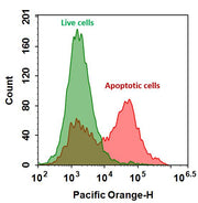 Annexin V-mFluor™ Violet 540 conjugate - AAT Bioquest