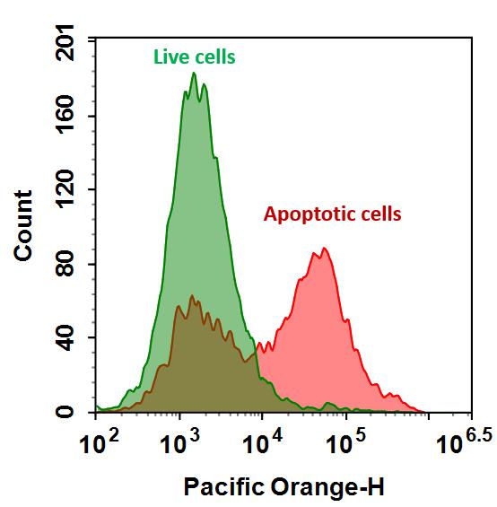Annexin V-mFluor™ Violet 540 conjugate - AAT Bioquest