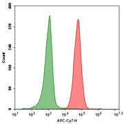 APC-Cy7® tandem-labeled goat anti-rabbit IgG (H+L) - AAT Bioquest