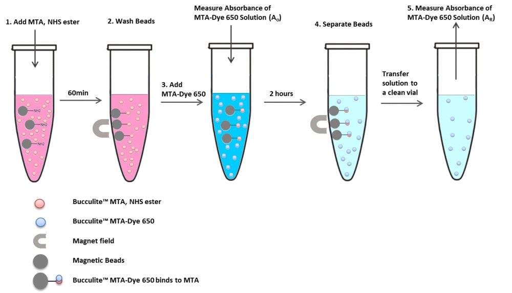 Beadlite™ Rapid Colorimetric Amino Quantitation Kit for Nanoparticles - AAT Bioquest