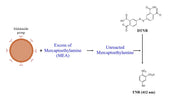 Beadlite™ Rapid Colorimetric Maleimide Quantitation Kit for Nanoparticles - AAT Bioquest