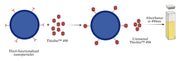 Beadlite™ Rapid Colorimetric Thiol Quantitation Kit for Nanoparticles - AAT Bioquest