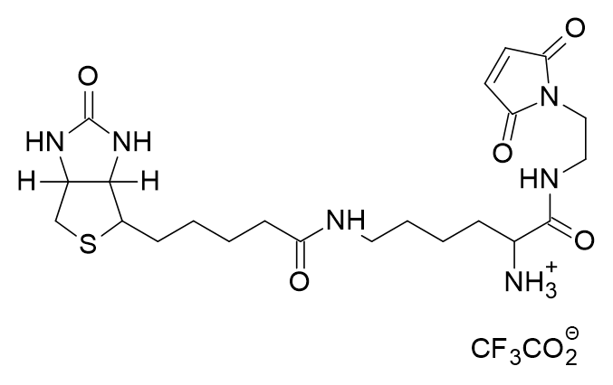 Biocytin C2 maleimide - AAT Bioquest