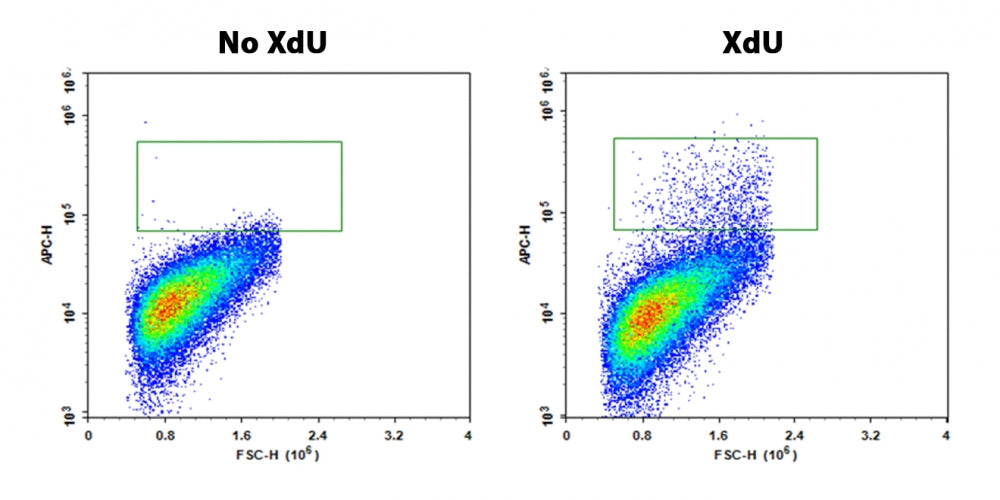 Bucculite™ Flow Cytometric XdU Cell Proliferation Assay Kit *Red Laser-Comptatible* - AAT Bioquest