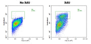 Bucculite™ Flow Cytometric XdU Cell Proliferation Assay Kit *Violet Laser-Compatible* - AAT Bioquest