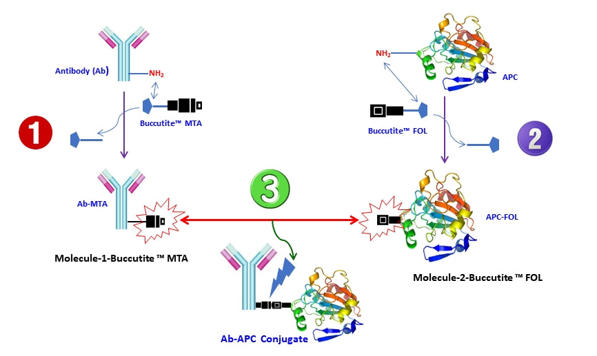 Buccutite™ MTA scavenger - AAT Bioquest