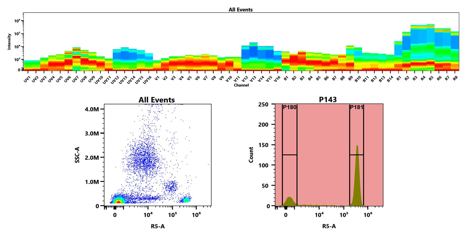 Buccutite™ Rapid APC-Cy5.5 Tandem Antibody Labeling Kit *Microscale Optimized for Labeling 100 ug Antibody Per Reaction* - AAT Bioquest