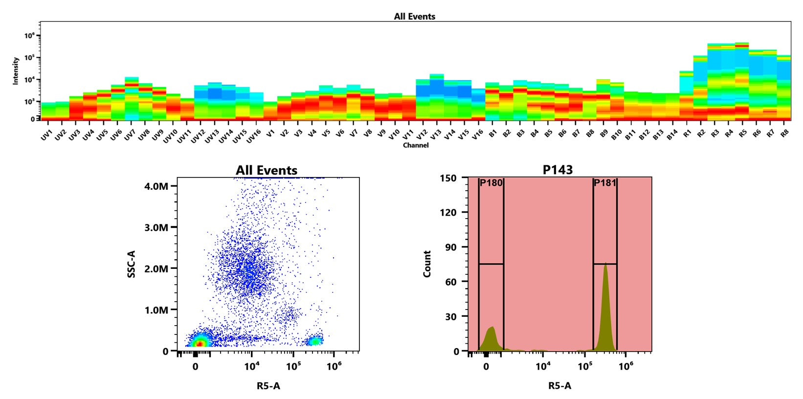 Buccutite™ Rapid APC-Cy5.5 Tandem Antibody Labeling Kit *Microscale Optimized for Labeling 25 ug Antibody Per Reaction* - AAT Bioquest