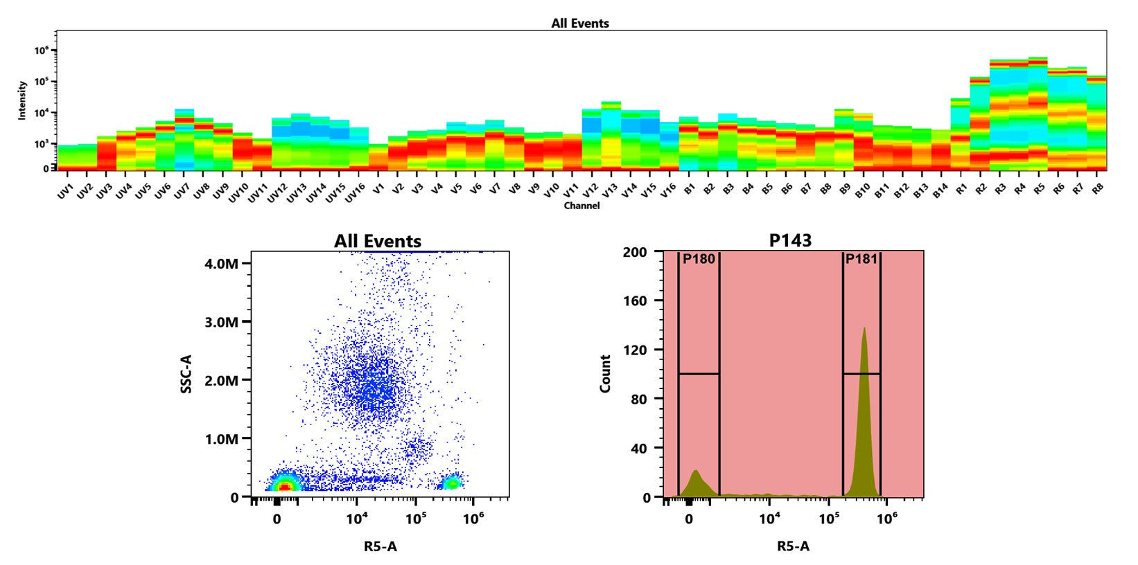 Buccutite™ Rapid APC-Cy5.5 Tandem Antibody Labeling Kit *Production Scale Optimized for Labeling 1 mg Antibody Per Reaction* - AAT Bioquest