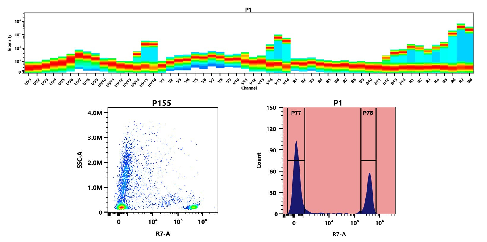 Buccutite™ Rapid APC-Cy7 Tandem Antibody Labeling Kit *Microscale Optimized for Labeling 100 ug Antibody Per Reaction* - AAT Bioquest