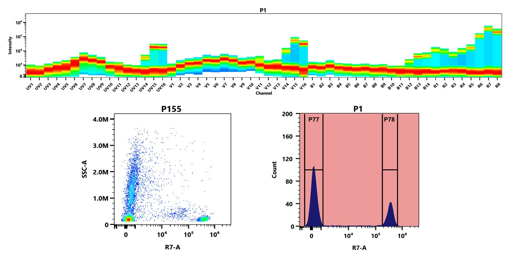 Buccutite™ Rapid APC-Cy7 Tandem Antibody Labeling Kit *Microscale Optimized for Labeling 25 ug Antibody Per Reaction* - AAT Bioquest