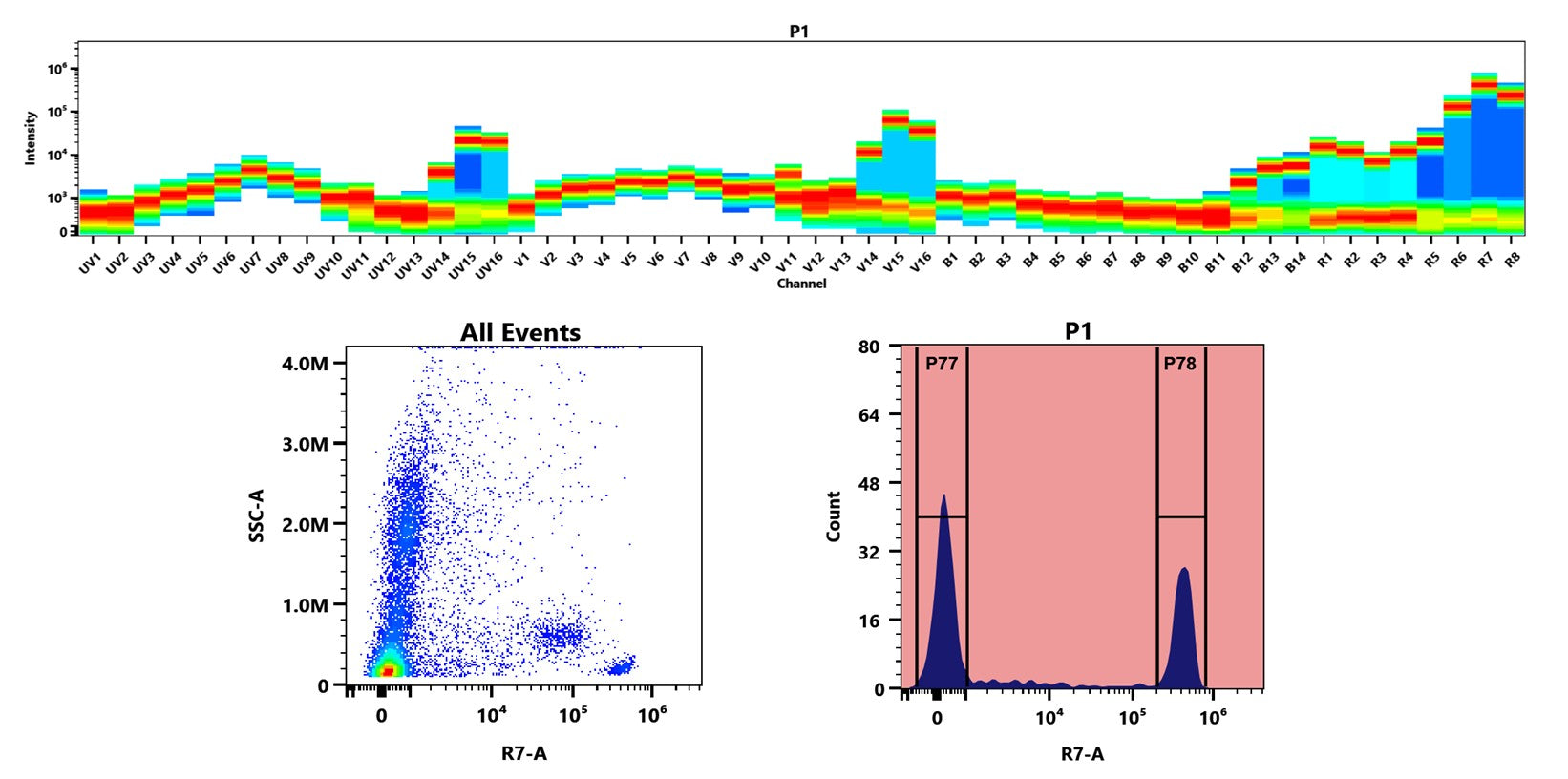 Buccutite™ Rapid APC-Cy7 Tandem Antibody Labeling Kit *Production Scale Optimized for Labeling 1 mg Antibody Per Reaction* - AAT Bioquest