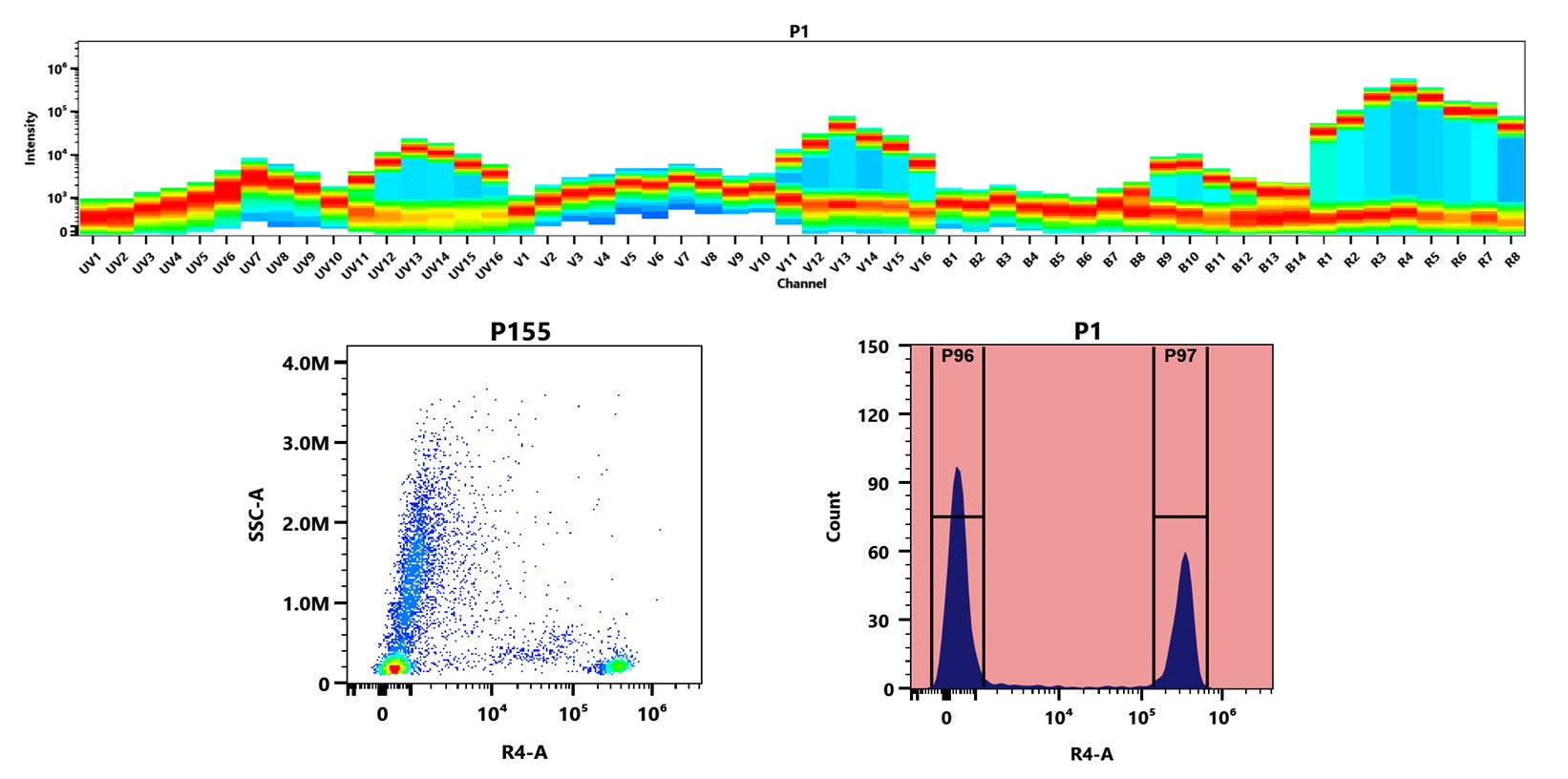 Buccutite™ Rapid APC-iFluor® 700 Tandem Antibody Labeling Kit *Microscale Optimized for Labeling 100 ug Antibody Per Reaction* - AAT Bioquest