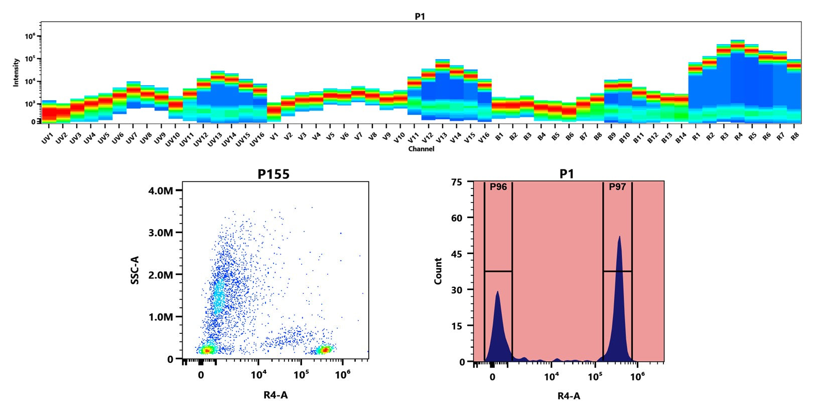 Buccutite™ Rapid APC-iFluor® 700 Tandem Antibody Labeling Kit *Production Scale Optimized for Labeling 1 mg Antibody Per Reaction* - AAT Bioquest