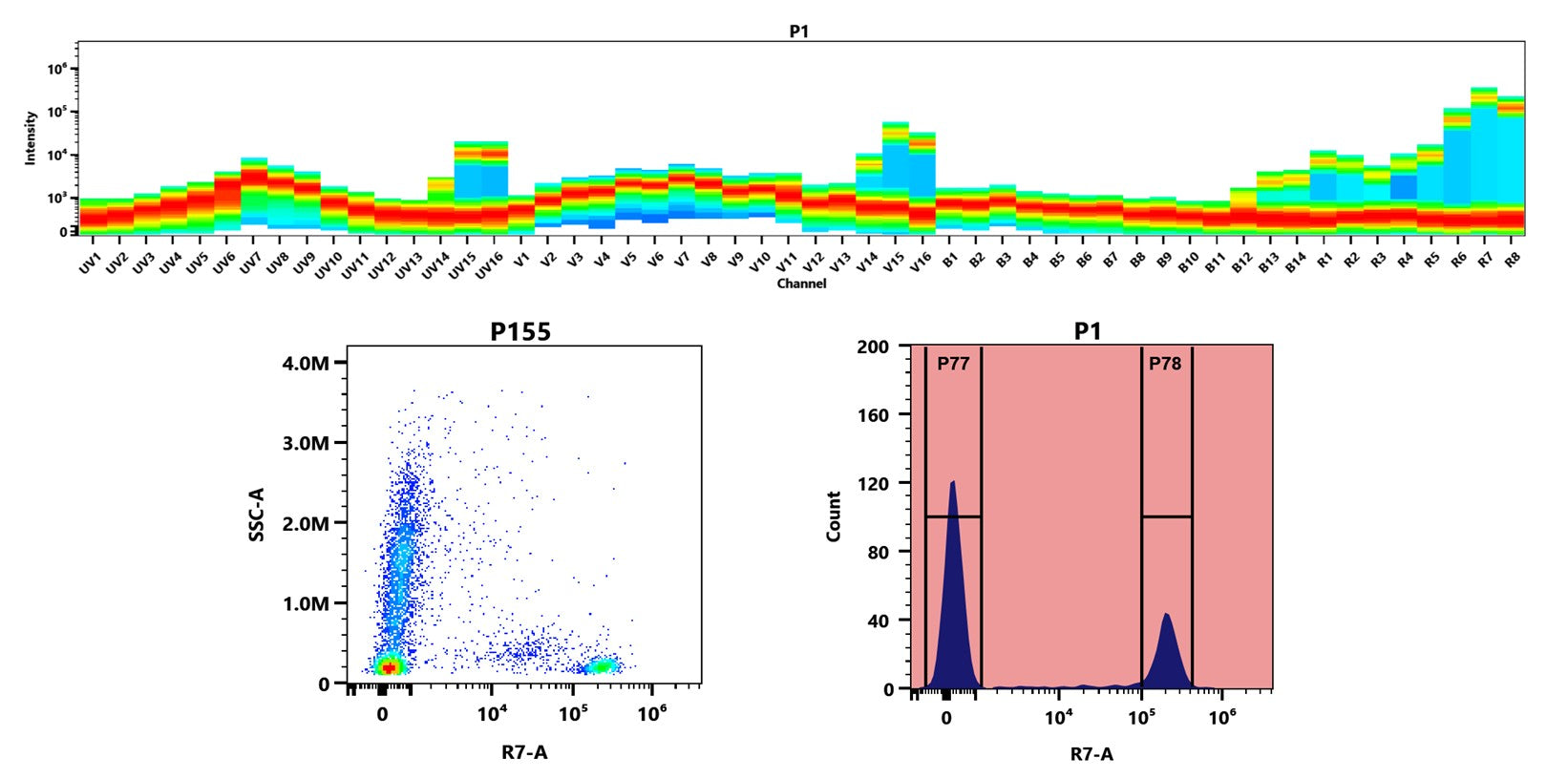 Buccutite™ Rapid APC-iFluor® 750 Tandem Antibody Labeling Kit *Microscale Optimized for Labeling 25 ug Antibody Per Reaction* - AAT Bioquest