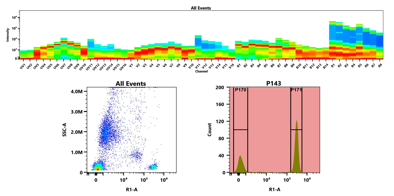 Buccutite™ Rapid Crosslinked APC Antibody Labeling Kit *Production Scale Optimized for Labeling 1 mg Antibody Per Reaction* - AAT Bioquest