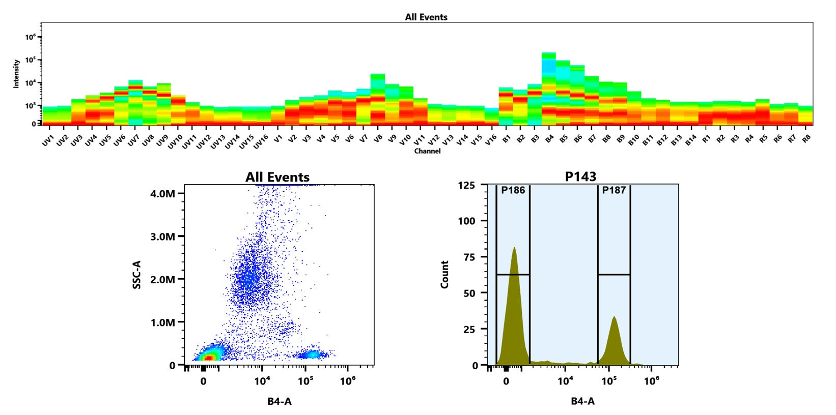 Buccutite™ Rapid PE Antibody Labeling Kit *Microscale Optimized for Labeling 100 ug Antibody Per Reaction* - AAT Bioquest
