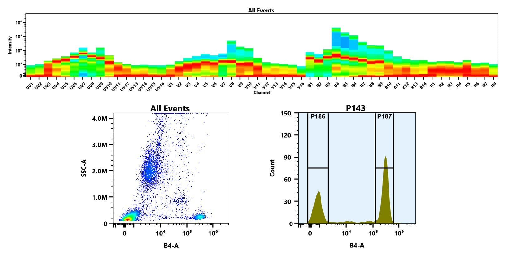 Buccutite™ Rapid PE Antibody Labeling Kit *Microscale Optimized for Labeling 25 ug Antibody Per Reaction* - AAT Bioquest