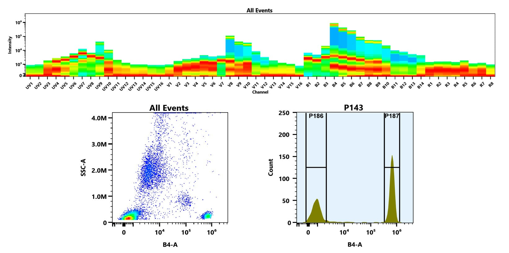Buccutite™ Rapid PE Antibody Labeling Kit *Production Scale Optimized for Labeling 1 mg Antibody Per Reaction* - AAT Bioquest