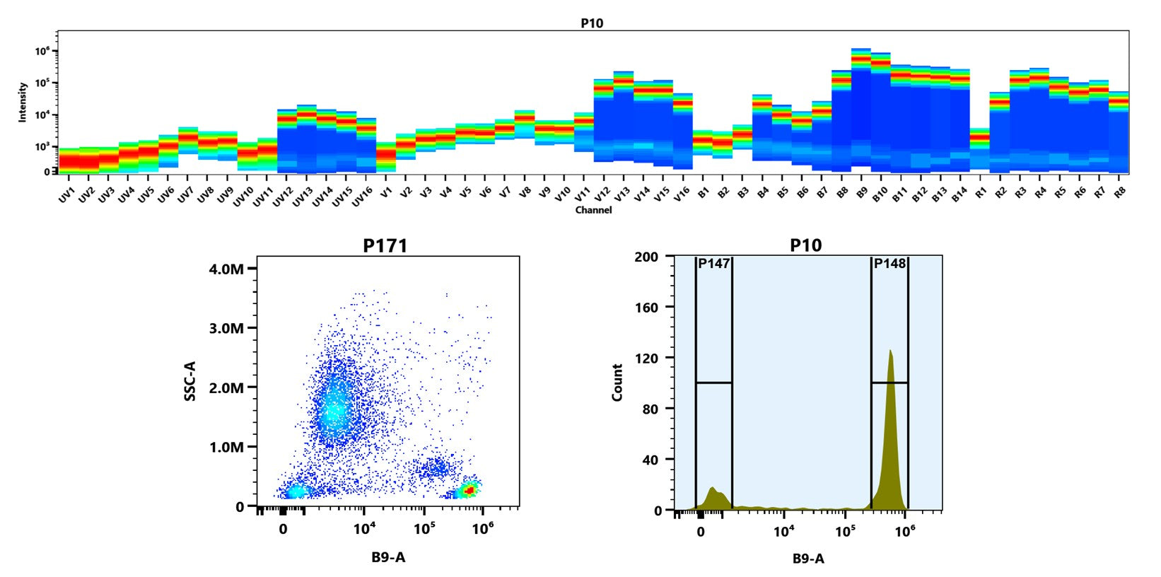 Buccutite™ Rapid PE-Cy5.5 Tandem Antibody Labeling Kit *Microscale Optimized for Labeling 25 ug Antibody Per Reaction* - AAT Bioquest