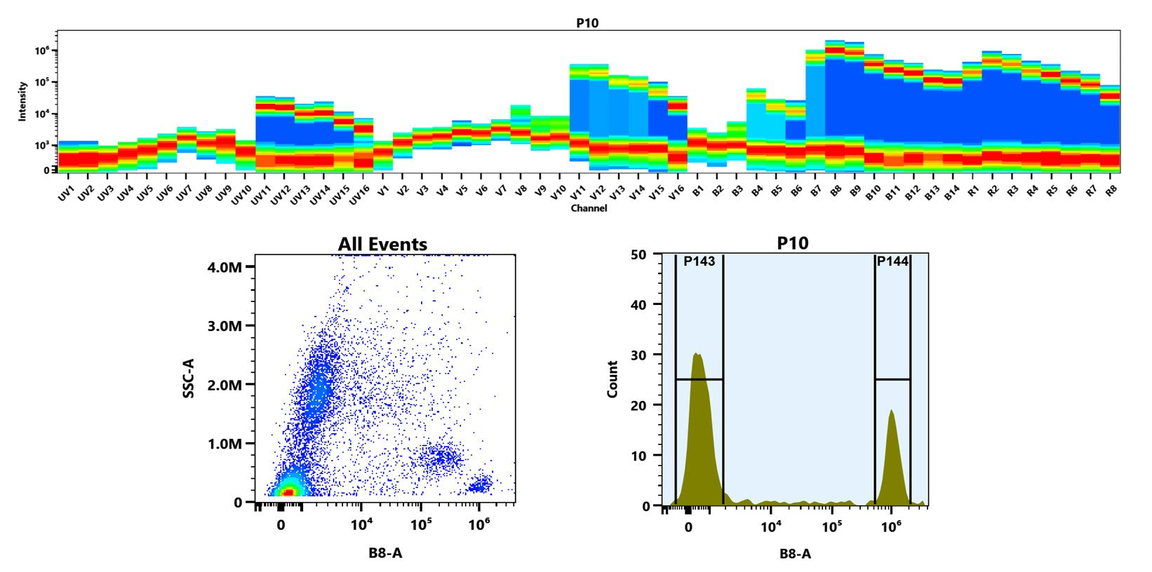 Buccutite™ Rapid PE-Cy5 Tandem Antibody Labeling Kit *Microscale Optimized for Labeling 100 ug Antibody Per Reaction* - AAT Bioquest
