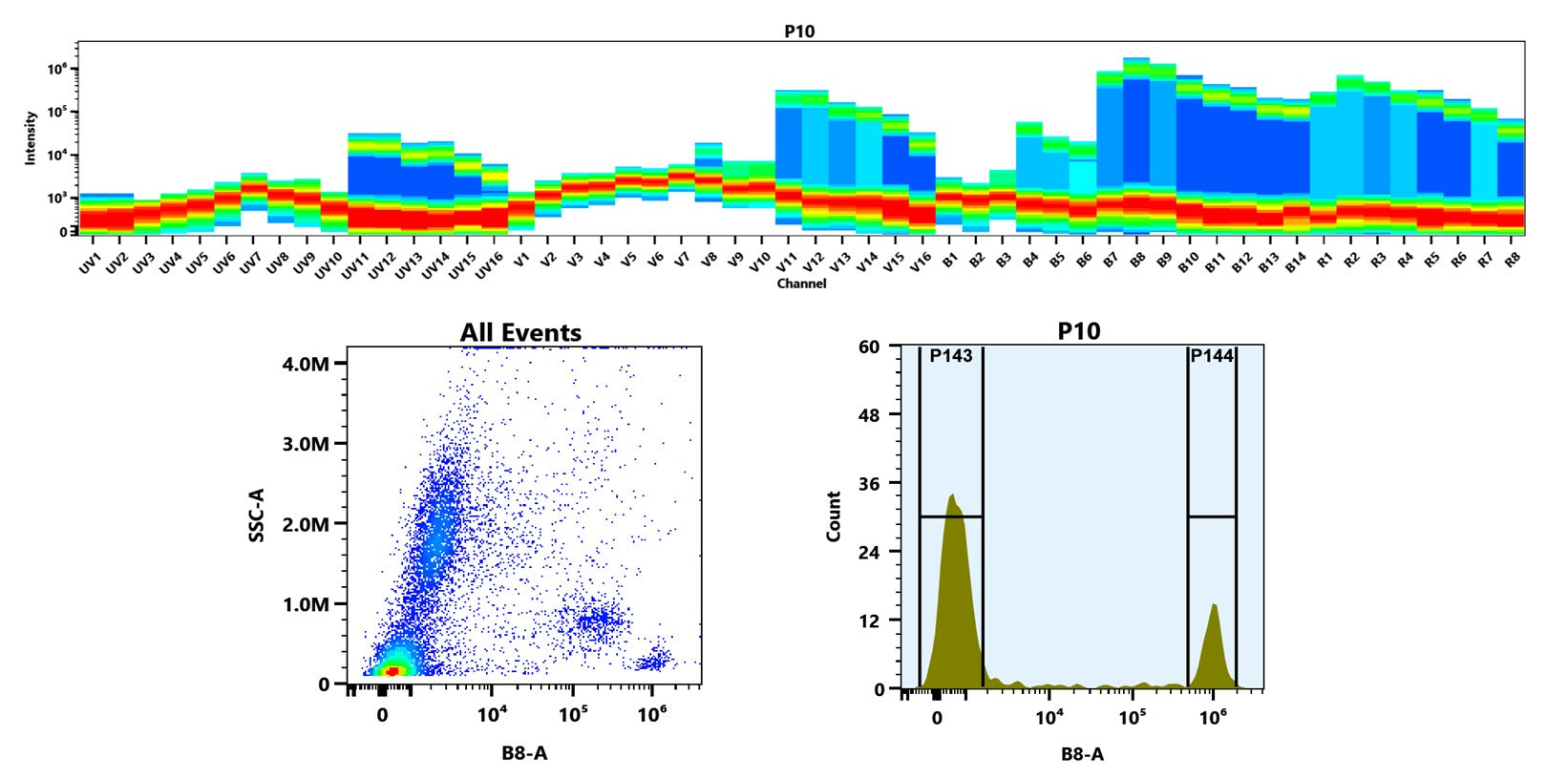 Buccutite™ Rapid PE-Cy5 Tandem Antibody Labeling Kit *Production Scale Optimized for Labeling 1 mg Antibody Per Reaction* - AAT Bioquest