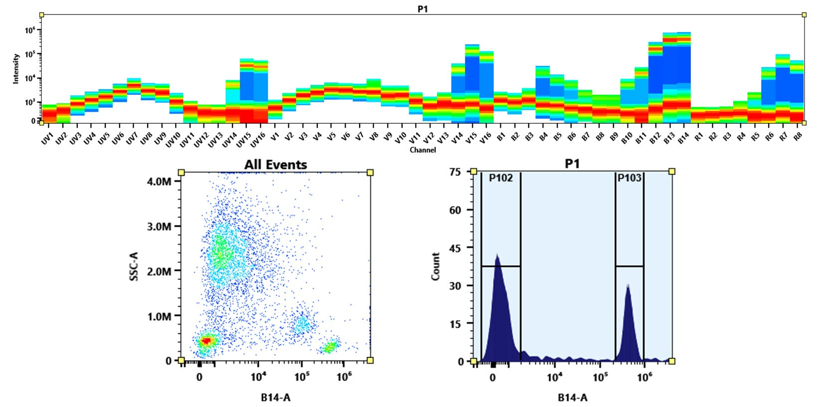Buccutite™ Rapid PE-Cy7 Tandem Antibody Labeling Kit *Microscale Optimized for Labeling 25 ug Antibody Per Reaction* - AAT Bioquest