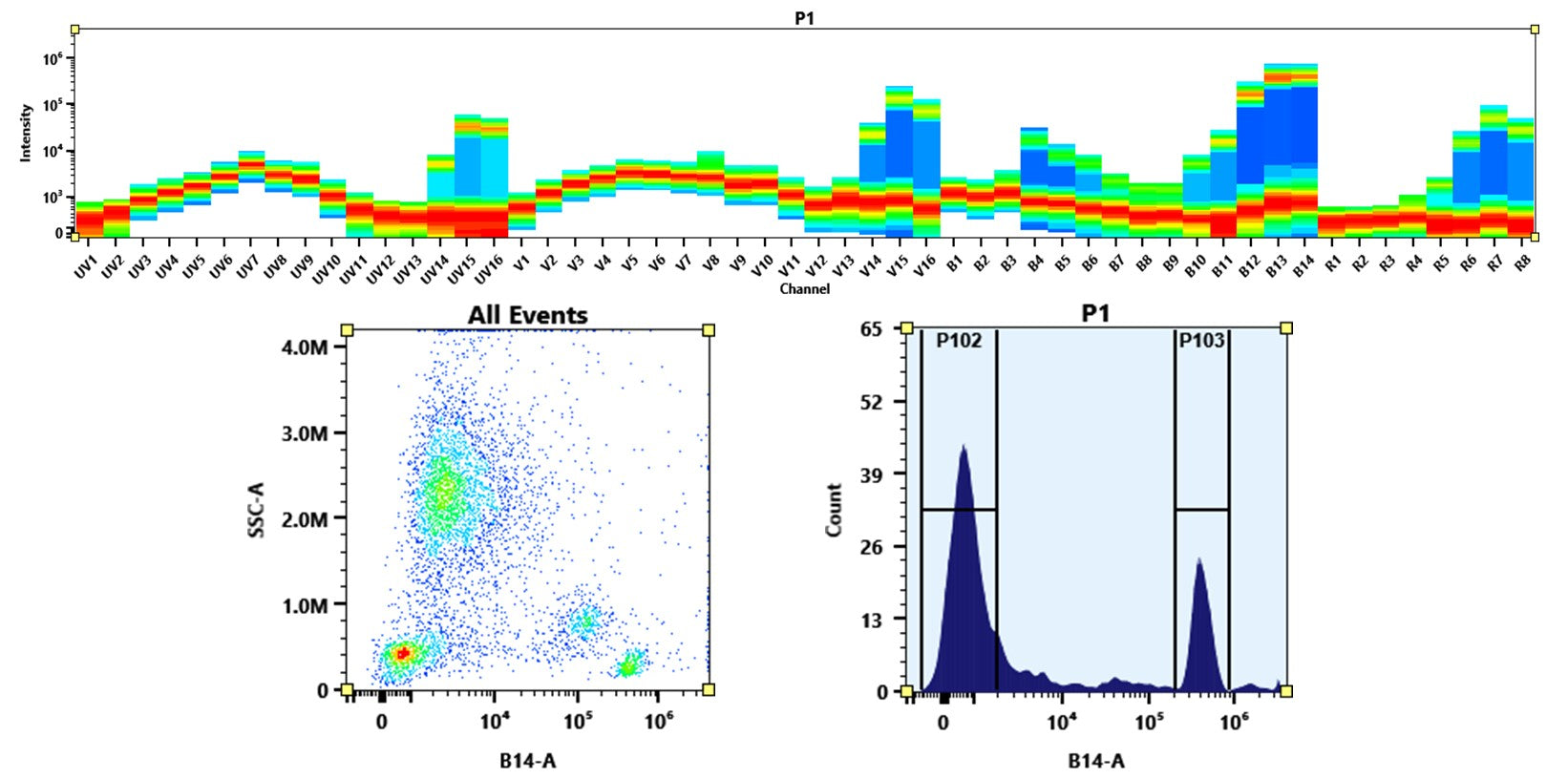 Buccutite™ Rapid PE-Cy7 Tandem Antibody Labeling Kit *Production Scale Optimized for Labeling 1 mg Antibody Per Reaction* - AAT Bioquest