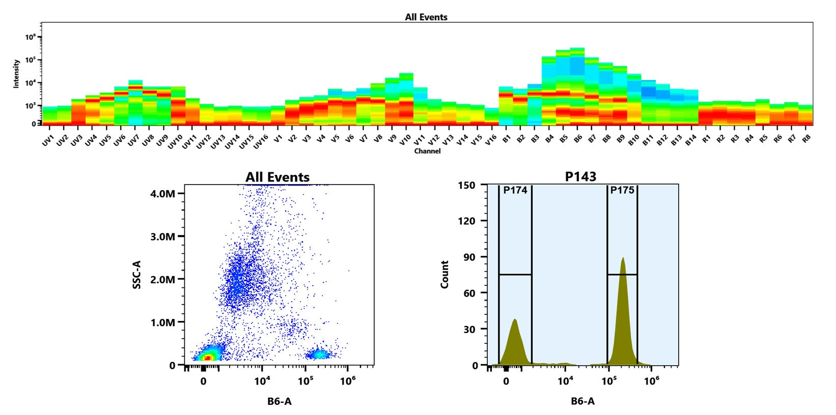 Buccutite™ Rapid PE-Texas Red Tandem Antibody Labeling Kit *Microscale Optimized for Labeling 100 ug Antibody Per Reaction* - AAT Bioquest