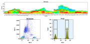Buccutite™ Rapid PE-Texas Red Tandem Antibody Labeling Kit *Microscale Optimized for Labeling 100 ug Antibody Per Reaction* - AAT Bioquest