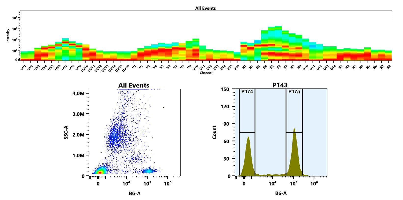 Buccutite™ Rapid PE-Texas Red Tandem Antibody Labeling Kit *Microscale Optimized for Labeling 25 ug Antibody Per Reaction* - AAT Bioquest