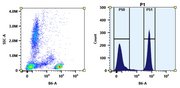 Buccutite™ Rapid PE-Texas Red Tandem Antibody Labeling Kit *Production Scale Optimized for Labeling 1 mg Antibody Per Reaction* - AAT Bioquest