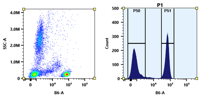 Buccutite™ Rapid PE-Texas Red Tandem Antibody Labeling Kit *Production Scale Optimized for Labeling 1 mg Antibody Per Reaction* - AAT Bioquest