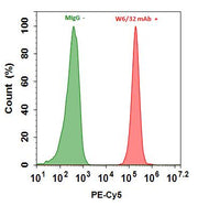 Buccutite™ Rapid Protein Crosslinking Kit *Microscale Optimized for Crosslinking 100 ug Antibody Per Reaction* - AAT Bioquest