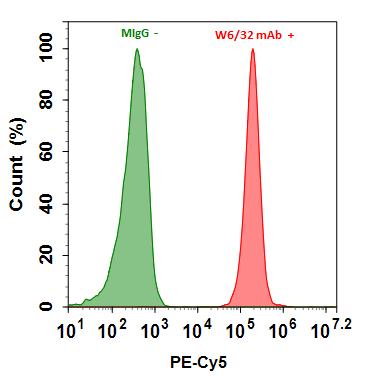 Buccutite™ Rapid Protein Crosslinking Kit *Microscale Optimized for Crosslinking 100 ug Antibody Per Reaction* - AAT Bioquest