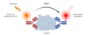 Buccutite™ Rapid trFluor™ D2 Acceptor Antibody Labeling Kit *Microscale Optimized for Labeling 100 ug Antibody Per Reaction* - AAT Bioquest