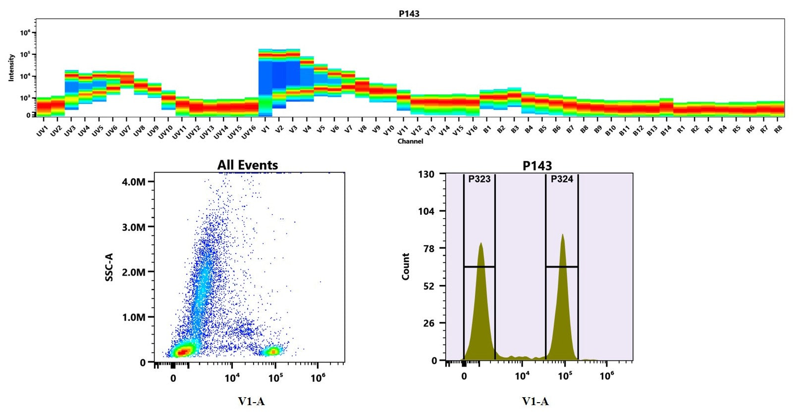 Buccutite™ Rapid XV420 Antibody Labeling Kit *Production Scale Optimized for Labeling 1 mg Antibody Per Reaction* - AAT Bioquest